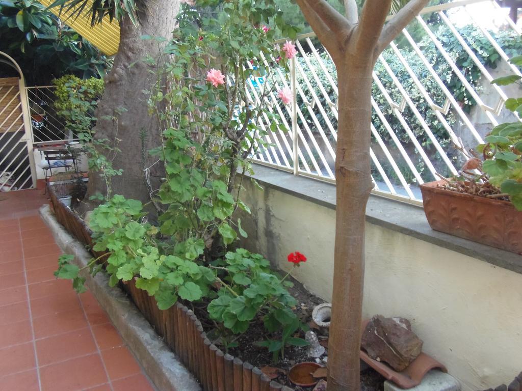 Affittacamere Il Parco Civitavecchia Exterior foto